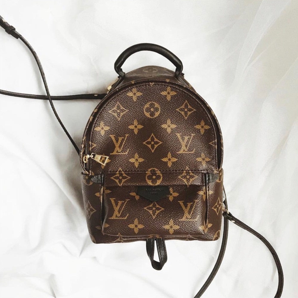 Louis Vuitton PALM SPRINGS MINI